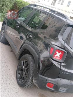 جيب رينيجيد